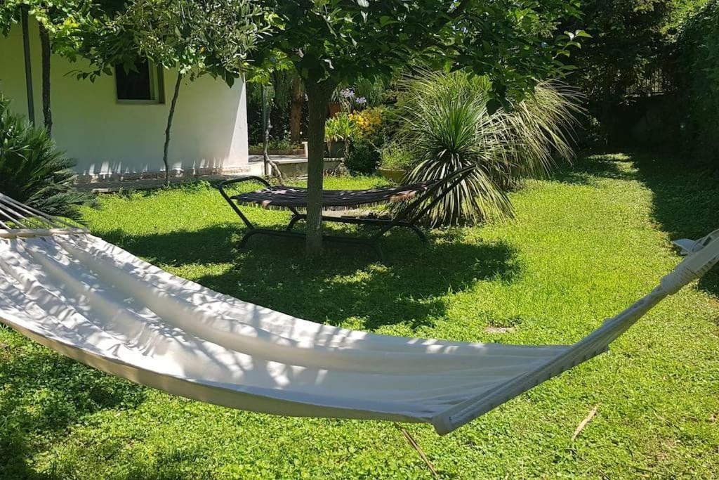 Countryhouse Gli Ulivi Modugno Exterior photo