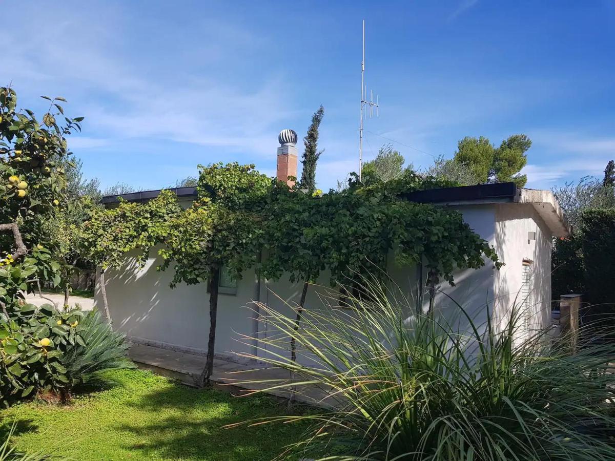 Countryhouse Gli Ulivi Modugno Exterior photo